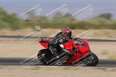 media/Nov-11-2023-SoCal Trackdays (Sat) [[efd63766ff]]/From the Runway (215pm)/